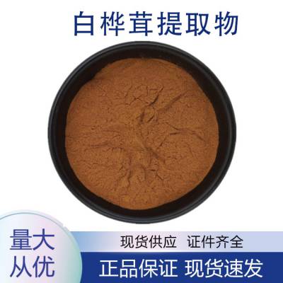 白桦茸提取物10:1 浓缩全水溶白桦茸提取粉 SC工厂多规格