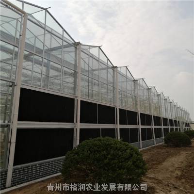 供应gr11 智能玻璃温室大棚 建设无土栽培温室工程