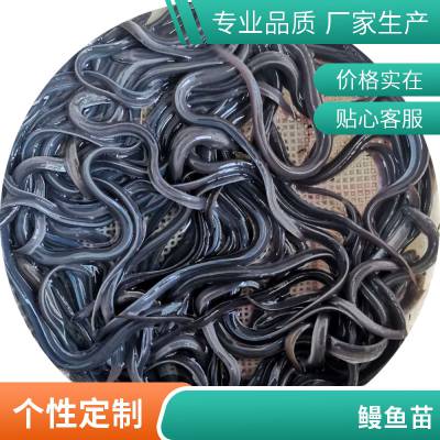 绶ӭ۷ˮ ձ ȫ