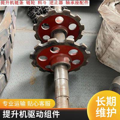 鲁兴 NE150提升机上链轮总成 头部驱动轮 带逆止器