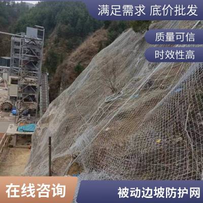 高速公路边坡防护网 山体滑坡钢丝绳环形网 边坡防滑网