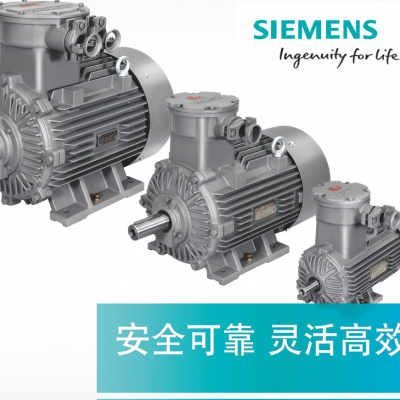 ӵ綯 SIMOTICS XP 1MB0063 ϵеѹ (Ex d IIB T4