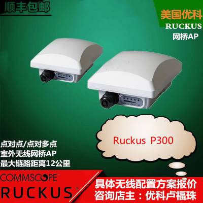 优科901-P300-CN02 ruckus P300室外点对点，点对多点无线网桥AP