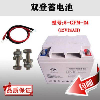 双登蓄电池6-GFM-24 12V24AH免维护铅酸总代理