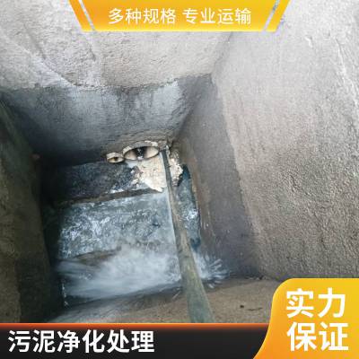 上海工业污泥压缩脱水 大型污水沉淀池清理 建筑工地污水处理