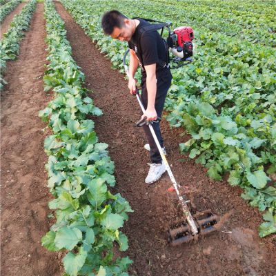 本田四冲程背负式除草机 辽宁热销玉米地果园松土锄地机