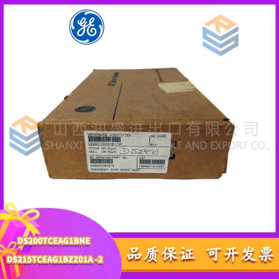 DS200TCEAG1BNE DS215TCEAG1BZZ01A GE ȫԭװ  ʱһ