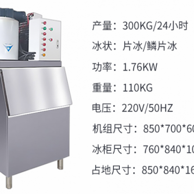 湛江PBJ-0.3T商用300公斤冰片机冰片制冰机品牌