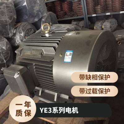 西玛 YE3-3553-6 355KW 380V/660V双电压 低压工频 三相异步交流电机