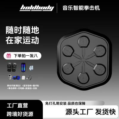 成人音乐holdbody音乐拳击机智能音乐拳击器音乐拳击靶网红拳击机