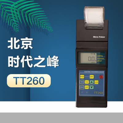 时代之峰TT260涂层测厚仪油漆工业级涂层测厚仪