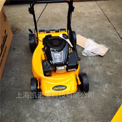 Cub Cadet Ƶ 21ĳ̲ƺ ݻ ݻ ݻ