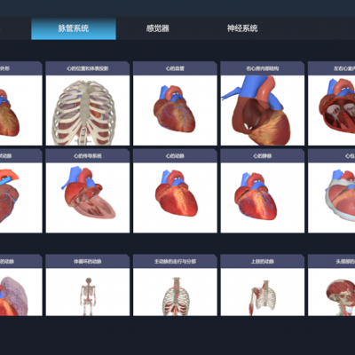 人体解剖虚拟仿真系统 MR人体解剖软件系统