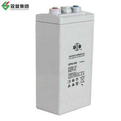 双登蓄电池 2V300AH GFM-300 EPS直流屏 UPS配套