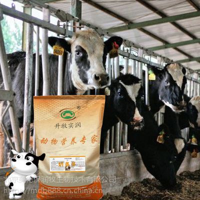 高产奶牛专用预混料厂家
