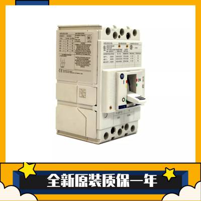 罗克韦尔塑壳断路器140G-I2C3-D22 140G-I2C4-C60 140G-I2C4-C63