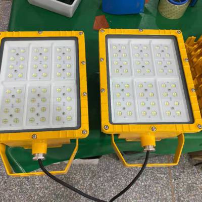 S23新华荣-LED防爆泛光灯100W,LED防爆投光灯100W