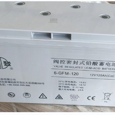 ˫ǷܷʽǦά6-GFM-120C20