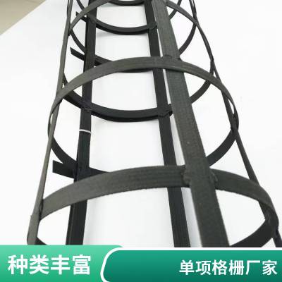 道路工程 单项塑料土工格栅 增强路基 DG200 世杰工程材料