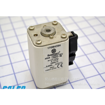 ӦBUSSMANN۶170M4490 250A 170M4491 31***