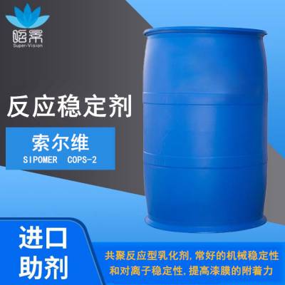 索尔维 提高乳胶漆的抗水性及耐擦洗性 SIPOMER COPS－2 广东总代理