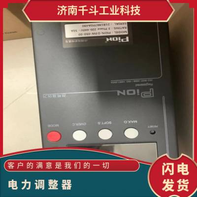 PION 汽车工业 石油化工 机械设备 玻璃熔化用 电力调整器D3W-050-00