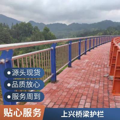 河北安平安全抗撞表面喷塑桥梁护栏 款式新颖桥面防撞天桥围栏