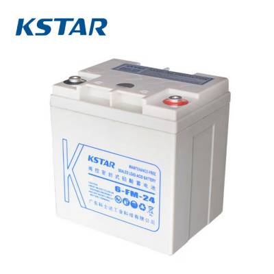 ʿ6-FM-24ϵ˵װ12v24Ahר