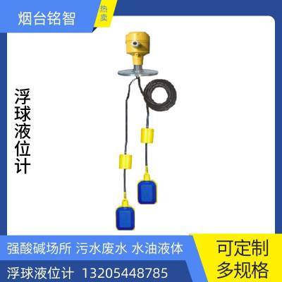 铭智浮球液位计 水位计 不锈钢防腐带远传 螺纹法兰 液位变送器 可定制