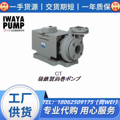 岩谷电机制作所液环水泵20CKT0752B铸铜材质WPT-101