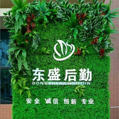 塑料绿植假花草墙面遮盖门店招牌背景墙人工绿化小尤加利仿真植物