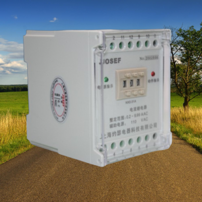 Դ JDL-1002AL̵ 220VDC  Եѹˮƽ