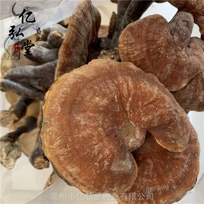 面议白灵芝药用有什么效果 金边灵芝产地*批发价哪里购买便宜安徽