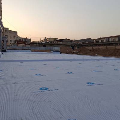 汉中市虹吸排水厂家PE14PVC30排水板成本低施工规范速度快效果好