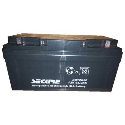 SECURE安全蓄电池SB12650 12V65AH高低压配电房 UPS不间断电源