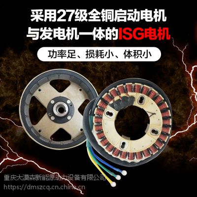 浙江铃本机电获得一种汽油发电机专利