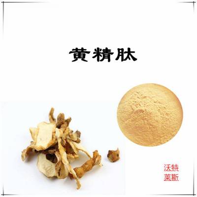 沃特莱斯生物 黄精肽 小分子低聚肽 多糖 淡黄色粉末