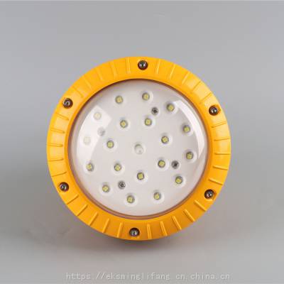 40w化工厂LED防爆泛光灯，FGV1206-防爆节能灯