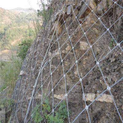 普洱柔性边坡防护勾花网 组合灵活 不锈钢丝网边坡防护网经销