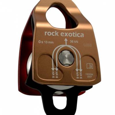Ϲó׹Ӧ Rock Exotica еԮ