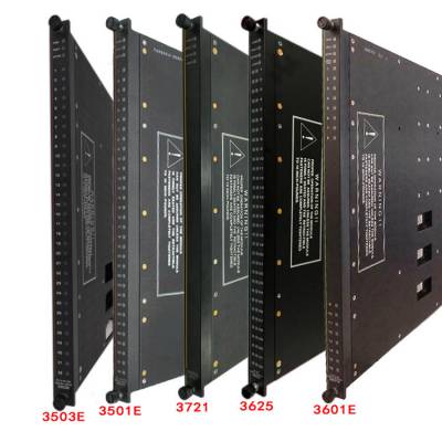 ICS TRIPLEX T8431 Rockwell