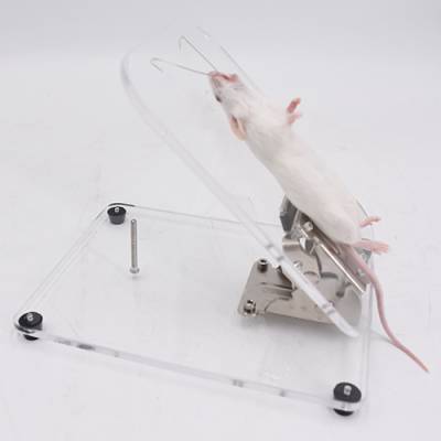 小动物气管插管平台 小鼠解剖台 蛙类解刨 大小鼠手术台角度可调式