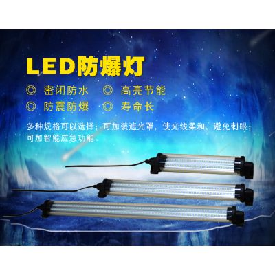 LED24V JY37ӹ20W 220V