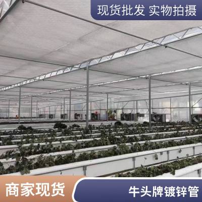 设计规划养虾棚 新型水产养殖大棚 牛头牌大棚管耐腐蚀