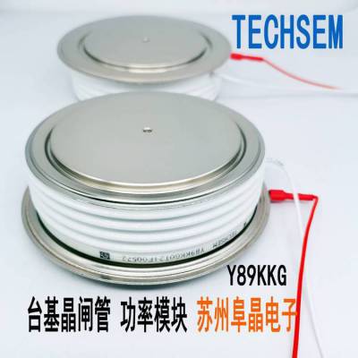 Y89KKG KK3000A2500V KK3000A2600V̨բTECHSEMɿع