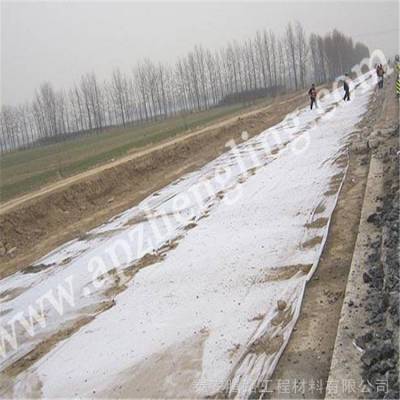 桂林土工布厂家300g渗水土工布一平方泰安腾路土工布供应厂家