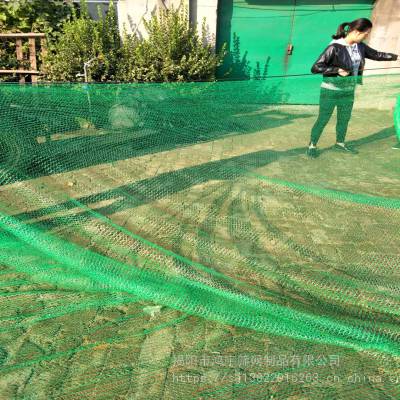 鸿宇筛网裸土覆盖绿网 建筑工地防尘绿网 6针聚乙烯盖土网