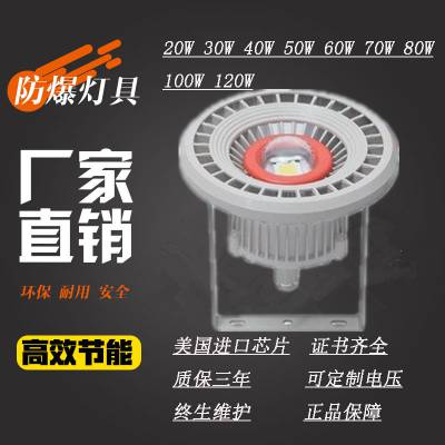 밲BZD180-106ϵзάLED20W-120WɵԲLEDƳֱ