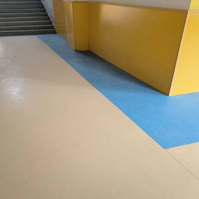 复合型PVC塑胶地板 安全环保 健身房运动地胶 办公室全国发货