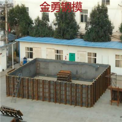 异形钢模板 圆柱桥墩钢模板  批发基地